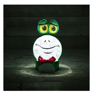 Cracker Barrel Lighted Frog Glitter Snow Globe. 

Only opened to photograph.